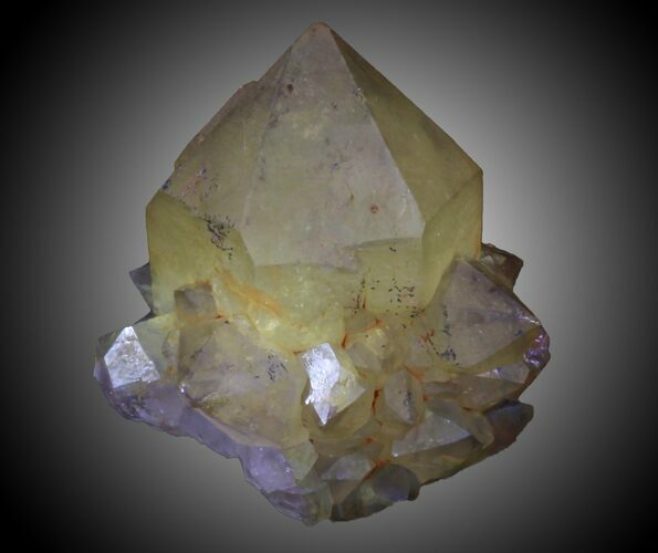 Golden Cactus Quartz Crystal - South Africa #33918